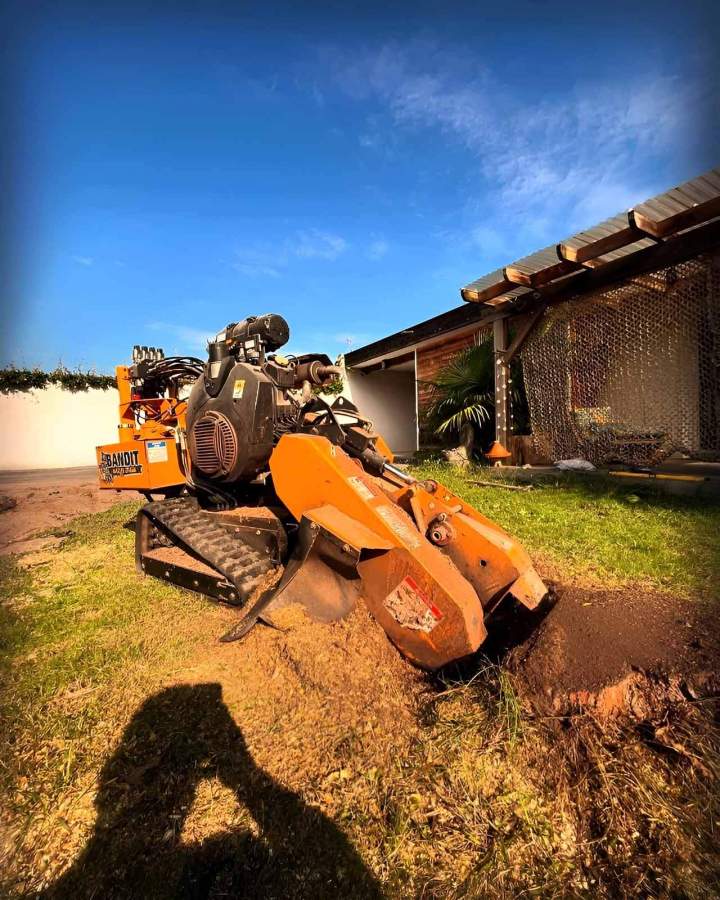 Eliminación Completa de Tocones