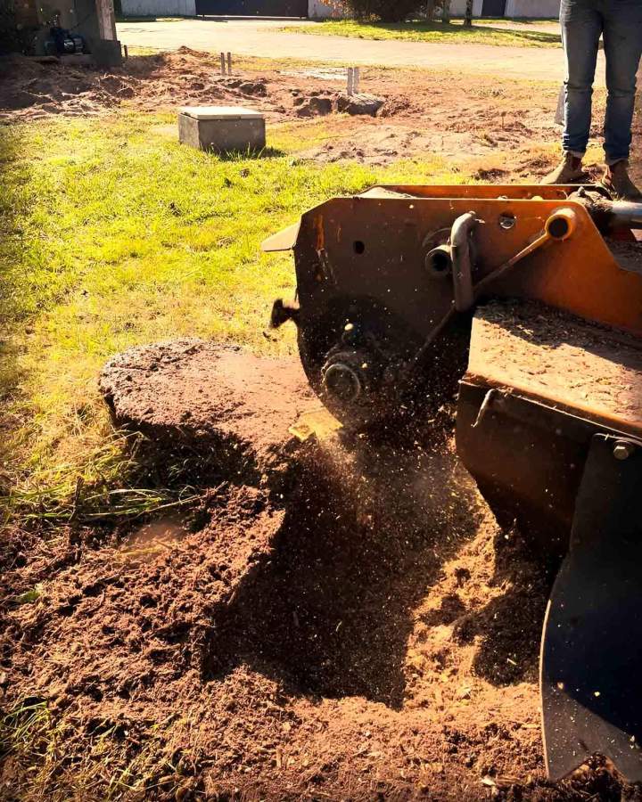 Entreprise de Dessouchage près de Soorts-Hossegor